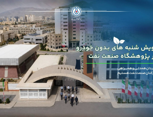 مشارکت مدیران پژوهشگاه صنعت نفت در پویش «یک روز بدون خودرو»